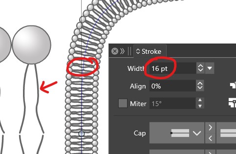 0_1727957432225_VS2.jpg