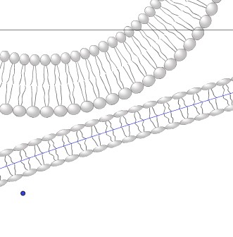 0_1728222777638_vs.jpg